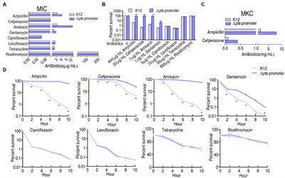 pts promoter influences antibiotic resistance via proton motive force and ROS in Escherichia coli